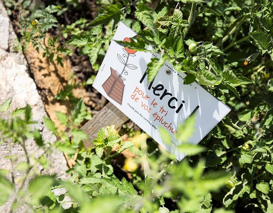 Panneau pédagogique invitant au tri des épluchures, installé dans un potager d’un camping écolabel en France, symbole d’un engagement concret pour l’environnement.