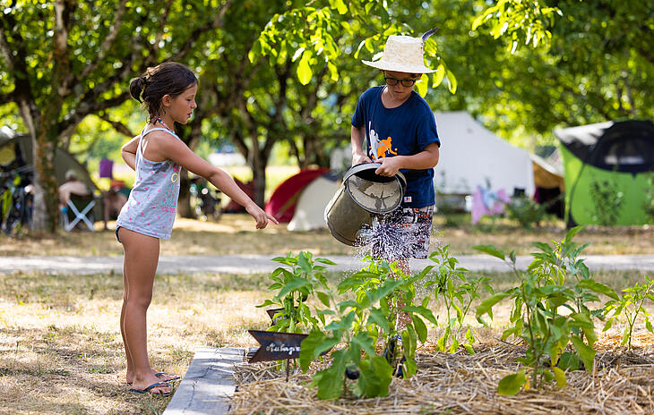 Enfants arrosant le potager du camping