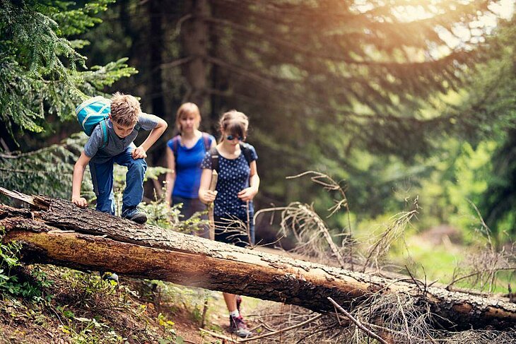 Enfants explorant la forêt pendant une randonnée familiale, aventure nature et découverte locale.