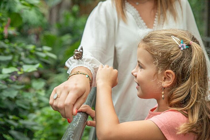 La Serre aux papillons © Terra Botanica Une petite fille observe un papillon posé sur la manche d'une adulte, au milieu de la végétation de la Serre aux papillons.