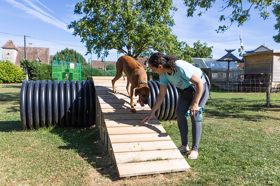 Chien et sa propriétaire profitant d'un moment de détente dans un parc pour toutous