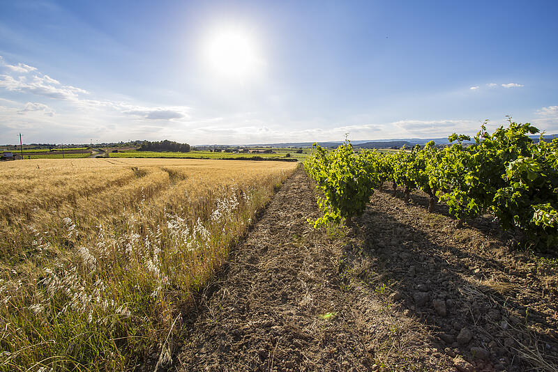 Respirez et partez en vacances à la campagne