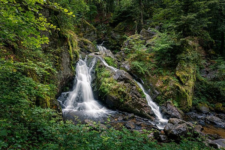 Cascade de Tendon entourée de forêt verdoyante, à moins de 30 minutes de Corcieux, une étape nature emblématique du tourisme dans les Vosges.