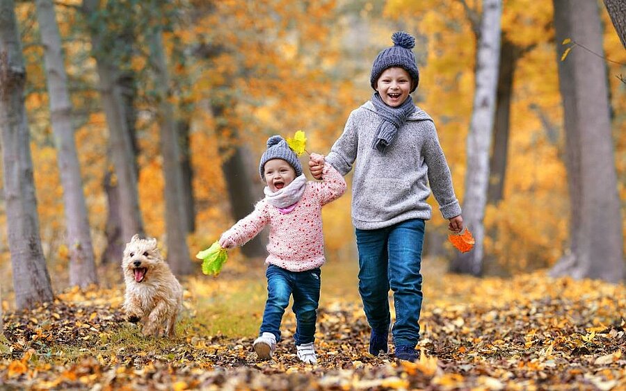 Une famille profitant des activités automnales dans un camping à la Toussaint, avec des enfants jouant et un paysage naturel brumeux en arrière-plan, illustrant une expérience conviviale et unique.