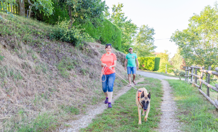 activités extérieur avec chien