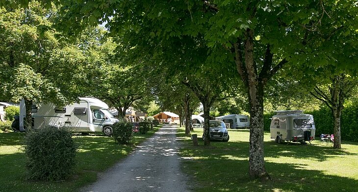 Allée ombragée bordée d’arbres avec caravanes et camping-cars, reflet d’un camping à taille humaine et convivial.