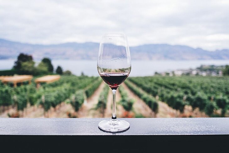 Verre de vin rouge face aux vignobles des Corbières, symbole d’un terroir généreux à découvrir lors d’un séjour tourisme à Lézignan-Corbières.