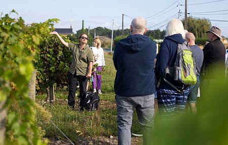 Expériences d’immersion locale, groupe participant à une découverte du terroir avec un acteur local, au cœur des traditions régionales.