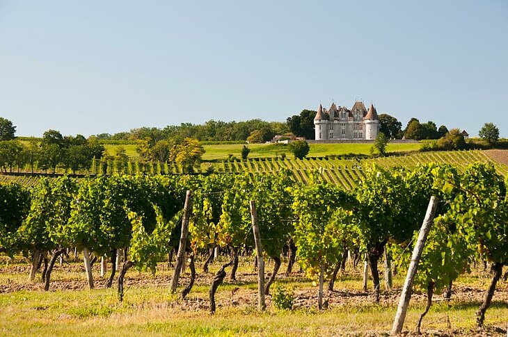 Vignobles de Monbazillac et château dominant la vallée en Dordogne, site emblématique du tourisme en Nouvelle-Aquitaine.