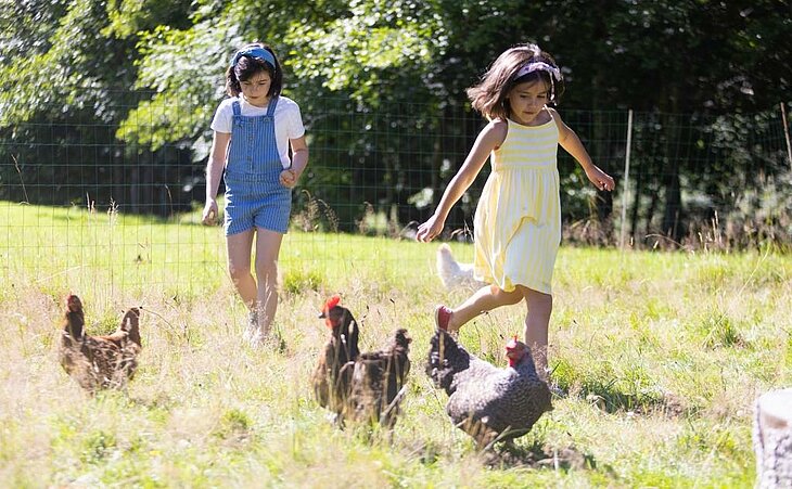 Deux enfants jouent près des poules dans un pré ensoleillé, symbole du lien authentique avec la nature dans les campings Sites et Paysages.