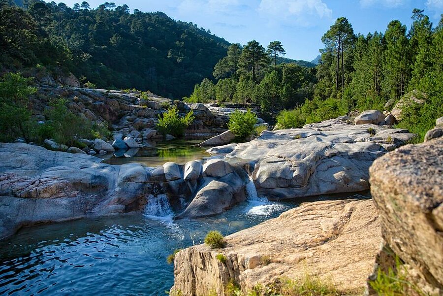 Piscines naturelles de Cavu entourées de rochers et de forêts verdoyantes, un site incontournable pour une immersion nature lors de vos vacances en camping en Corse du Sud.