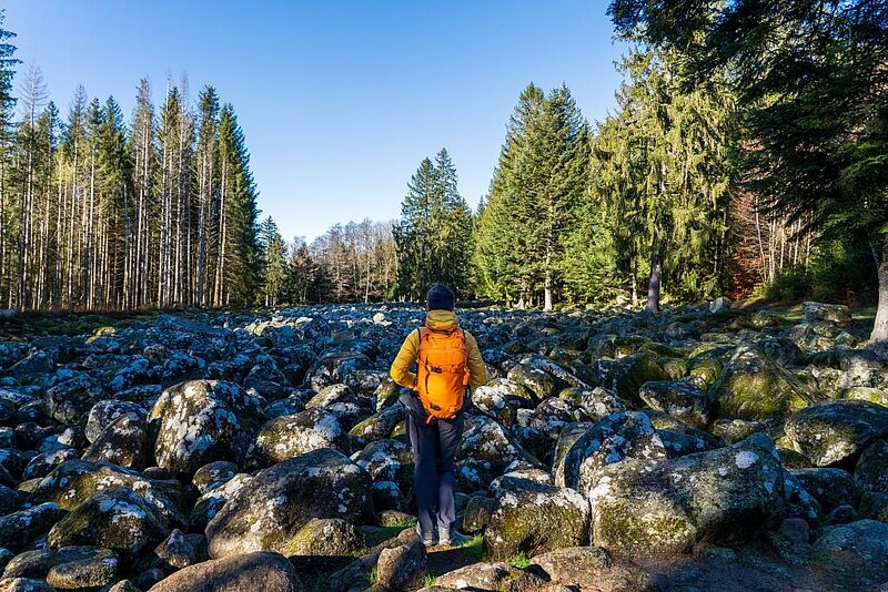 Corcieux tourisme : que faire, que voir et où camper dans les Vosges ?