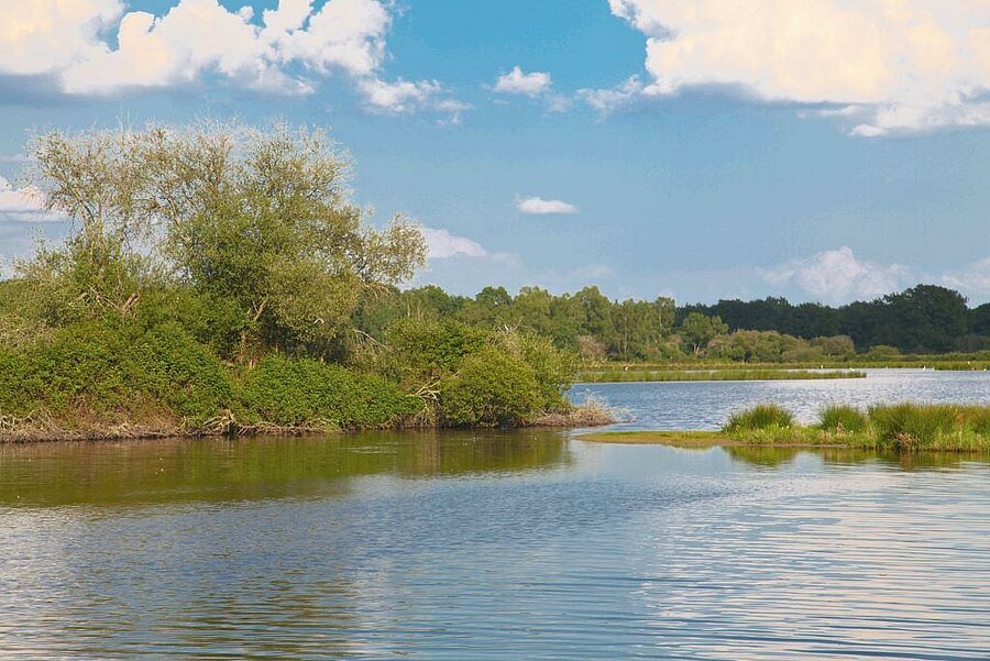 Vue paisible d’un étang typique de la Sologne, entouré de verdure, près d’un site de camping dans le Loiret.