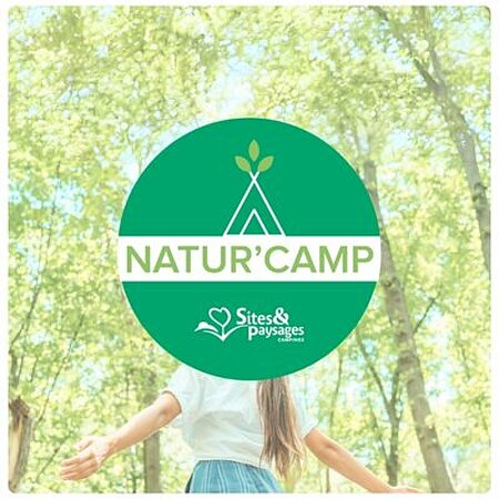 Logo de la charte Natur’Camp au cœur d’une forêt, symbolisant l’engagement des campings Sites et Paysages en faveur d’un camping écologique et durable.