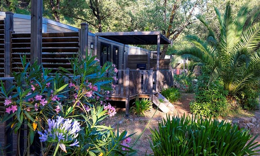 Mobil-home moderne entouré de végétation dans un camping près d’Antibes, location confortable et paisible au cœur de la nature.
