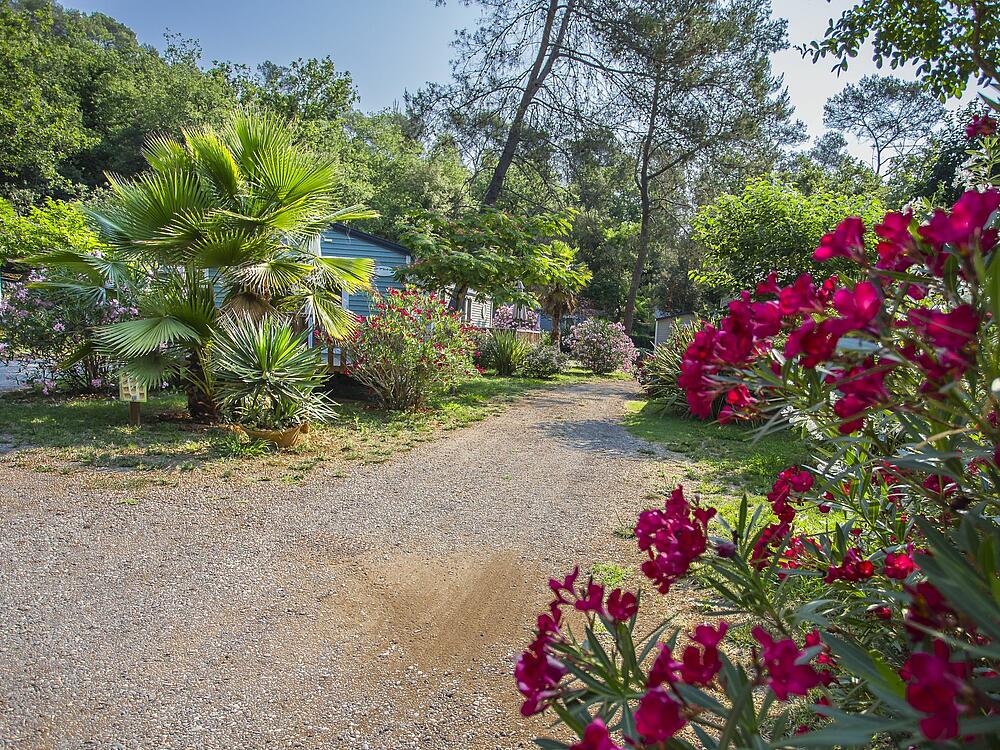 Camping Les Pinèdes Sites et paysages La Colle sur Loup (6480